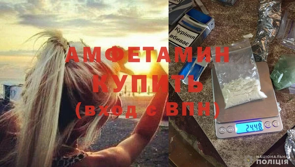 шишки Бородино